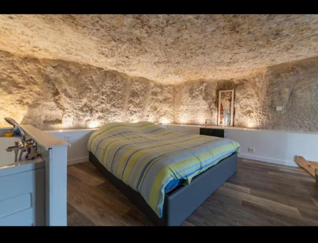 Maison Troglodyte ポアティエ エクステリア 写真